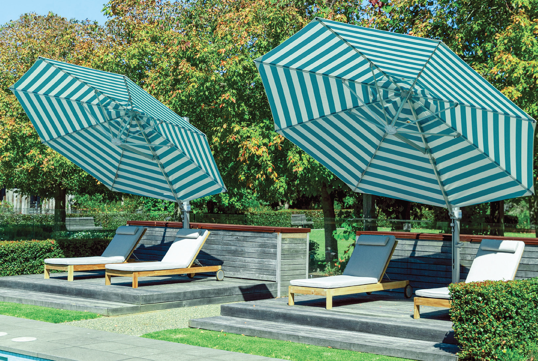 Eclipse Umbrella